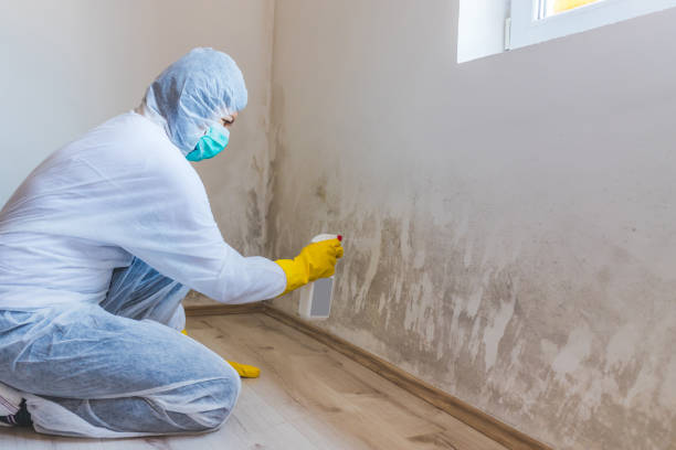Mold inspector in Crapo performing thermal imaging