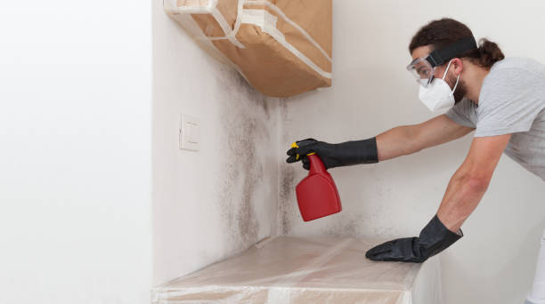 Attic Mold Remediation treatment on roof deck in Crapo