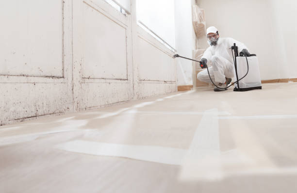 Black mold remediation team in Crapo